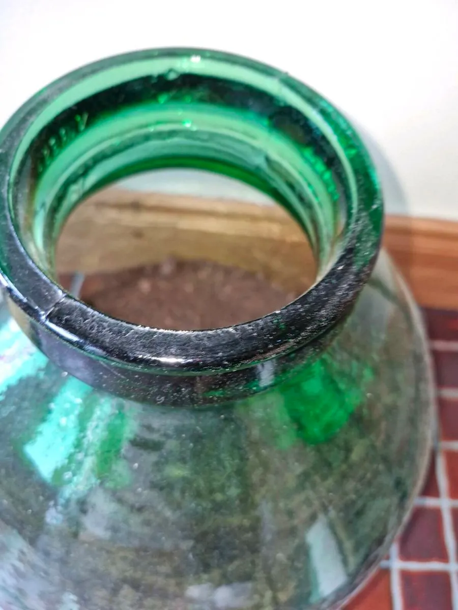 Terrarium - Image 3