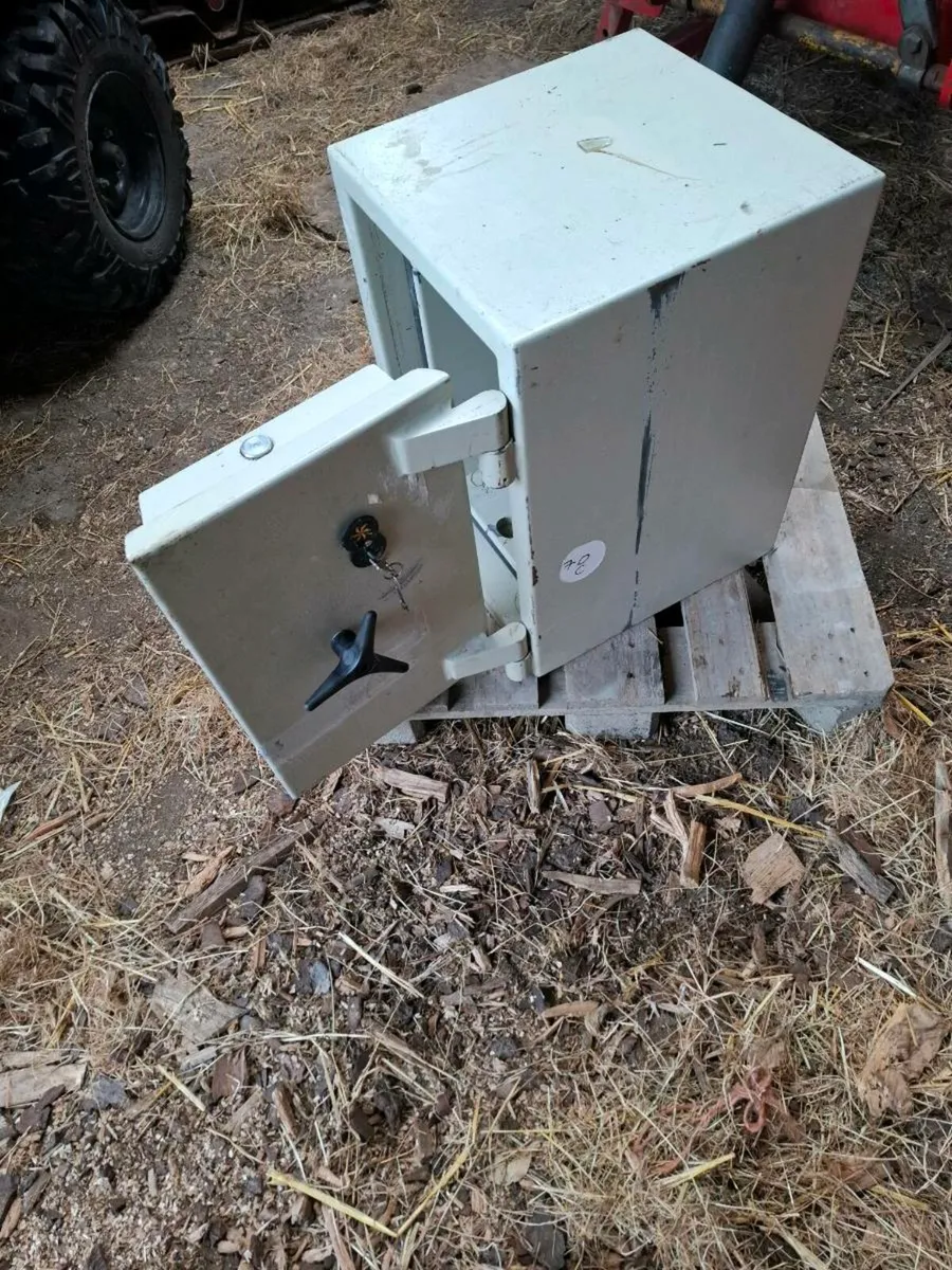 House Safe - Image 1