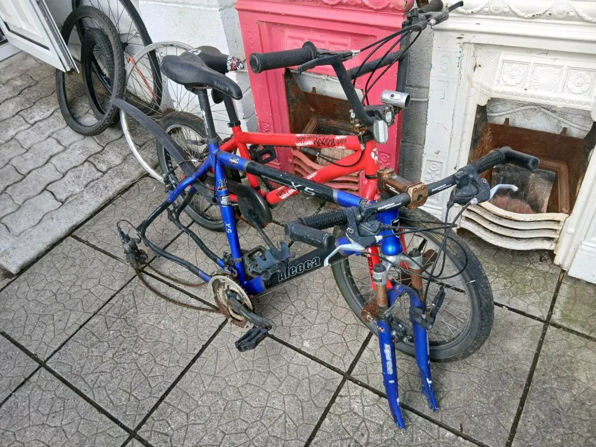 Bicycles - Image 2