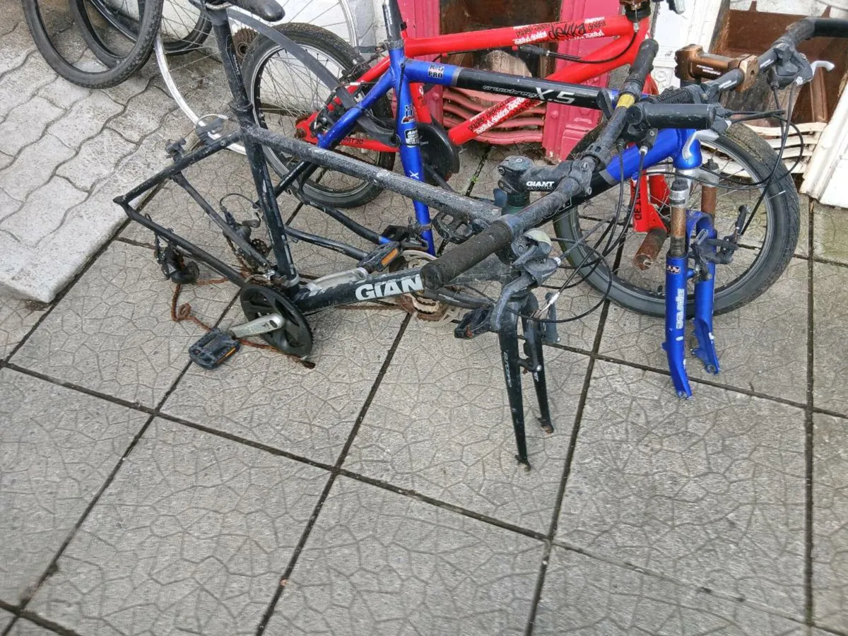Bicycles - Image 3