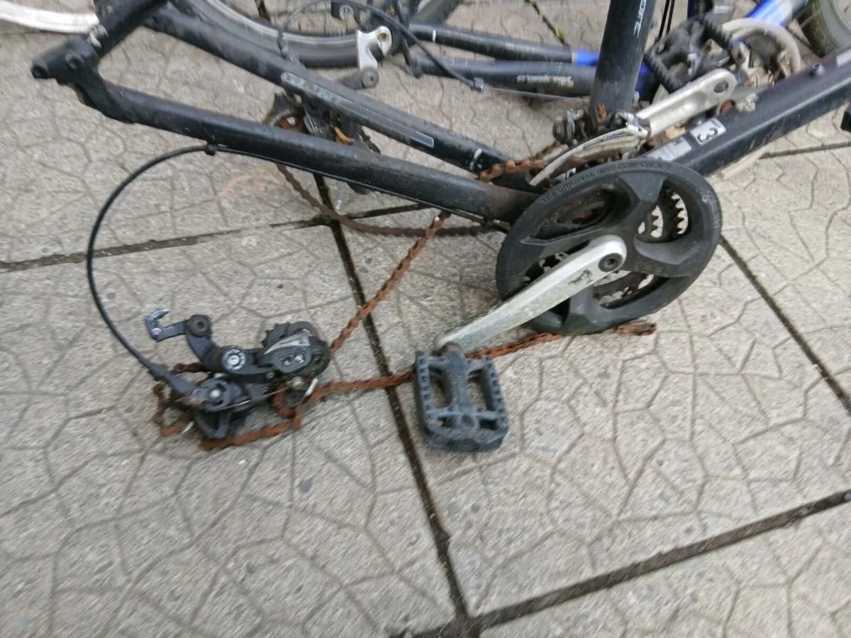 Bicycles - Image 4
