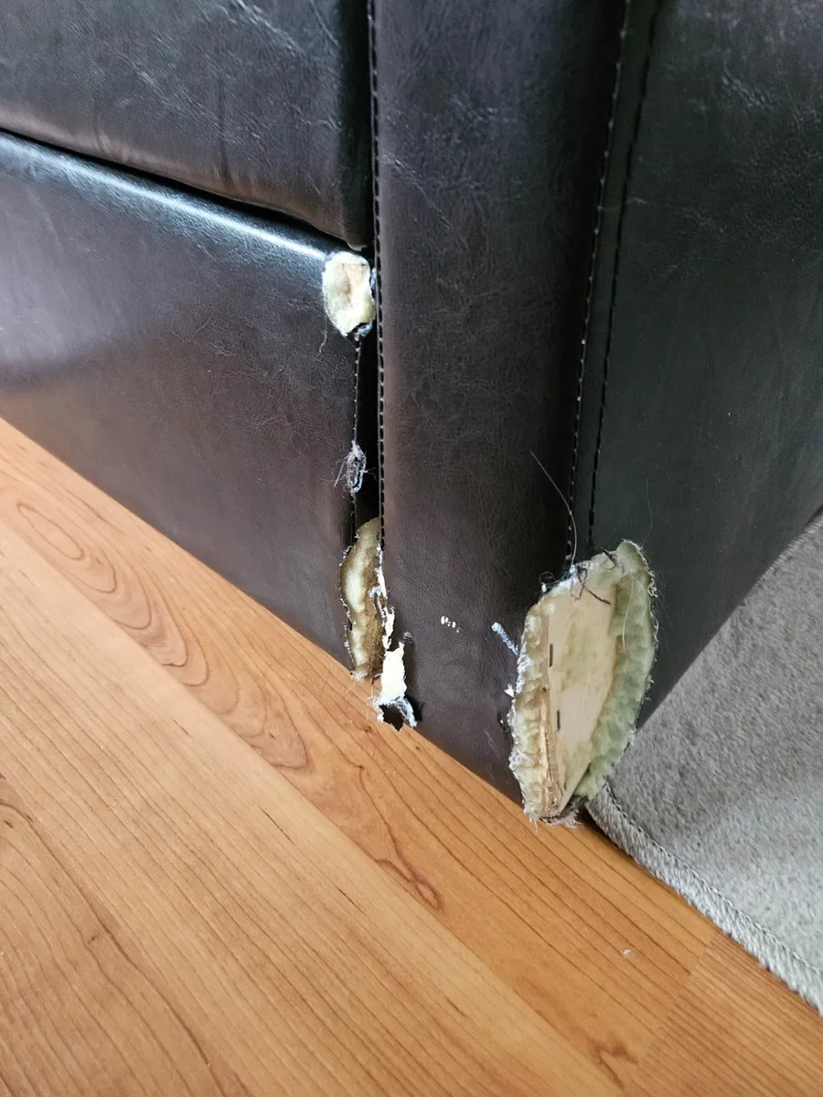 Bedframe - Image 4