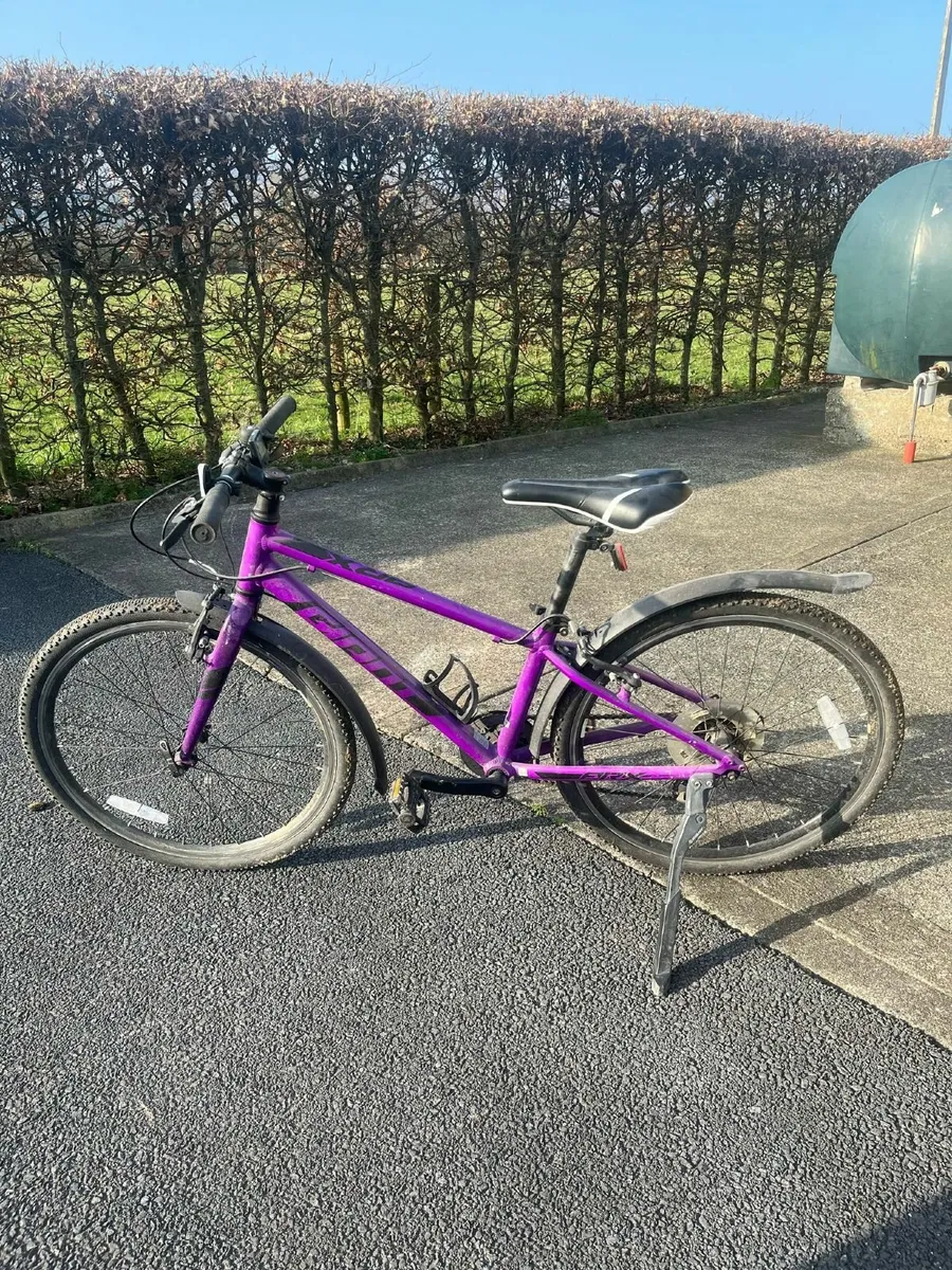Bike - Image 3