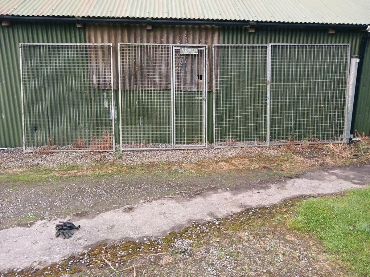 Galvanised steel Dog Cage - Image 1