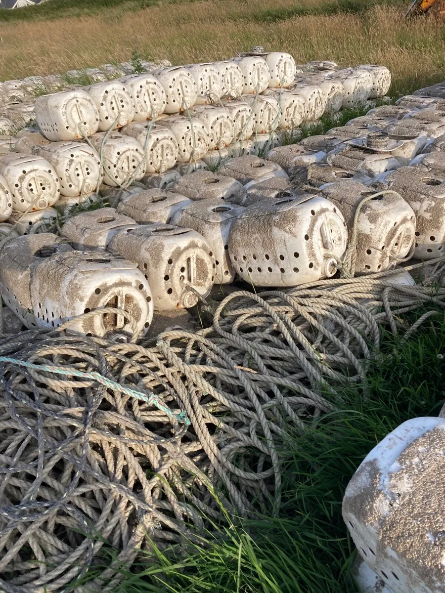 Whelk pots - Image 1