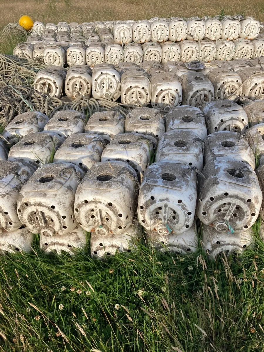 Whelk pots - Image 2