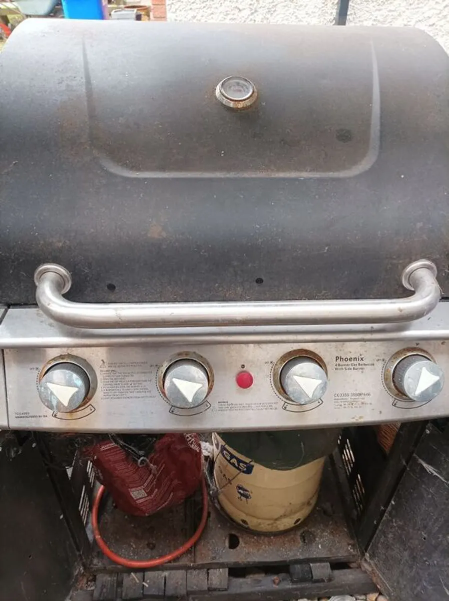 bar b que - Image 3