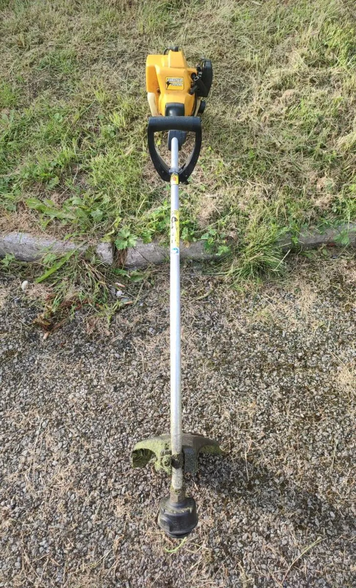 Grass Strimmer - Image 2