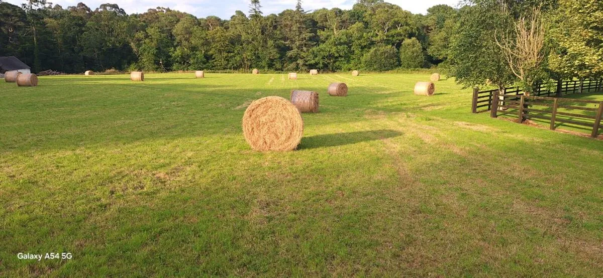 Round Hay Bales €40 - Image 1