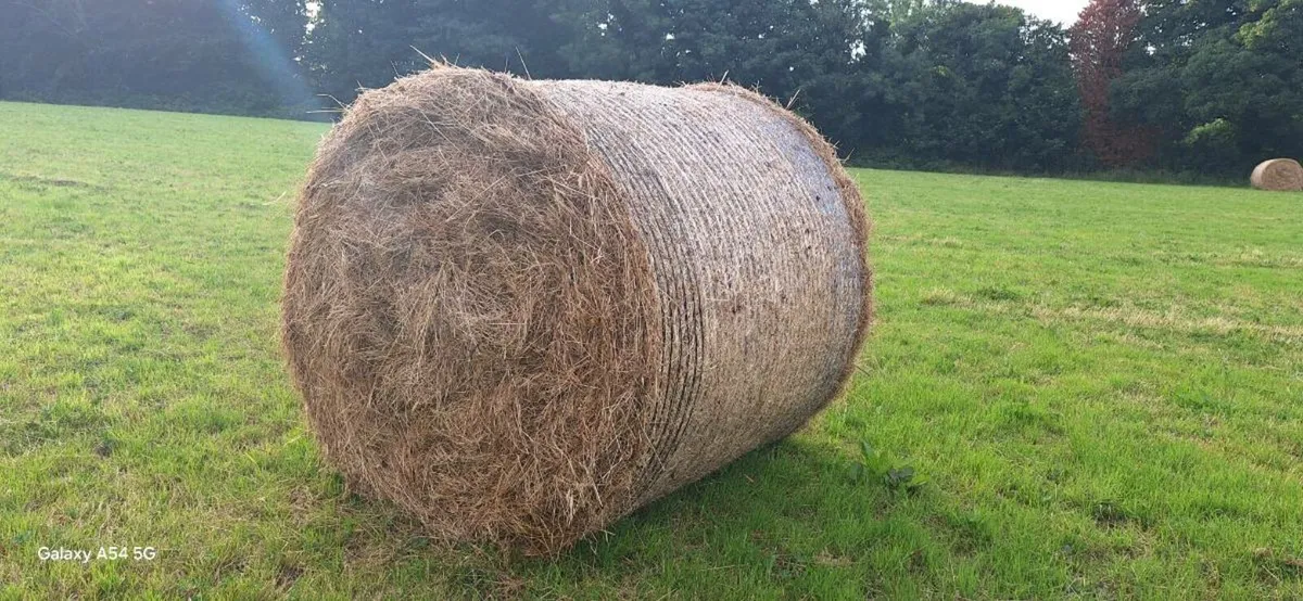 Round Hay Bales €40 - Image 2