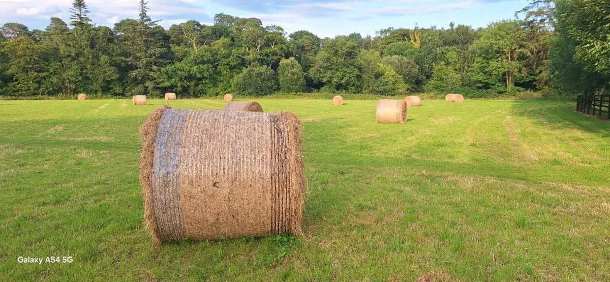 Round Hay Bales €40 - Image 3