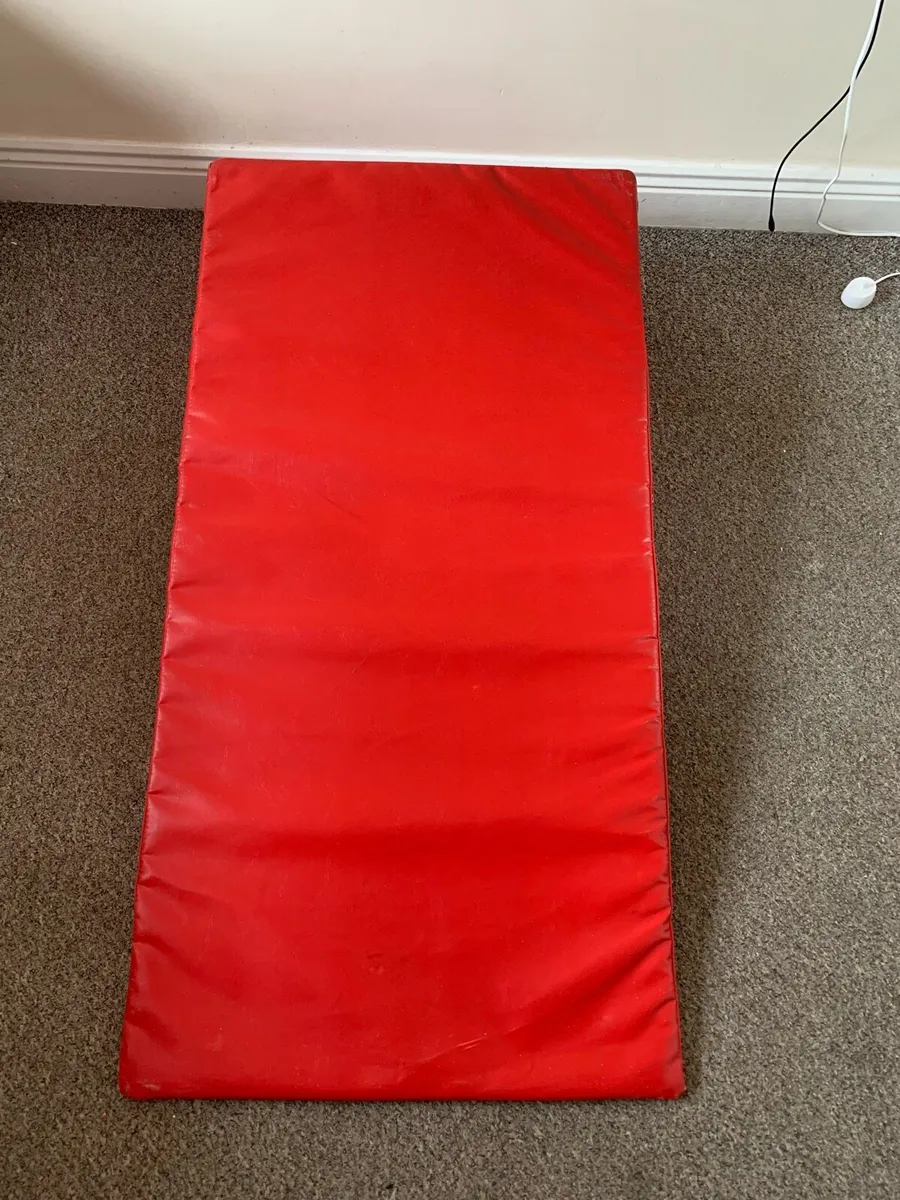 Gymnastics wedge - Image 4