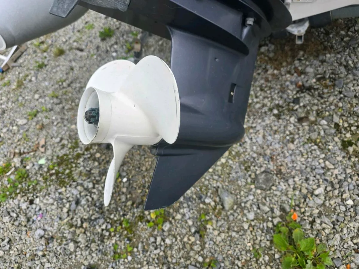 Capelli 5 metre rib - Image 3