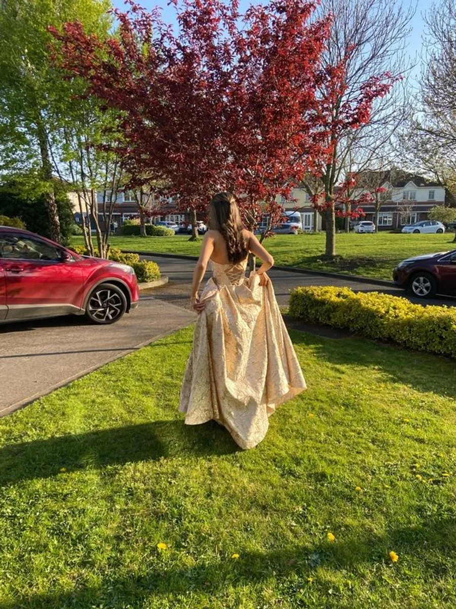 Debs - Image 4