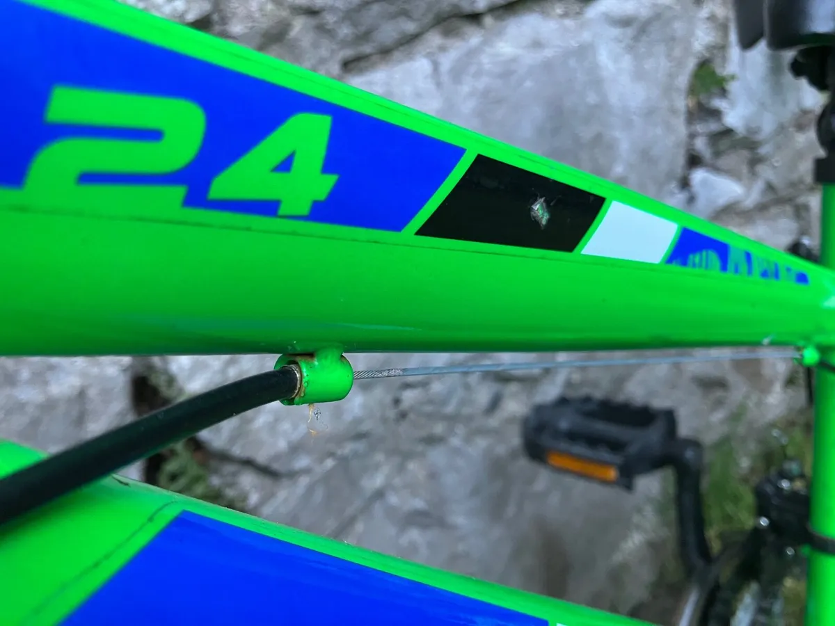 Edgar Sports Bicycle - Image 3