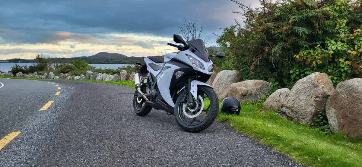 2014 Kawasaki Ninja 300 ABS - Image 1