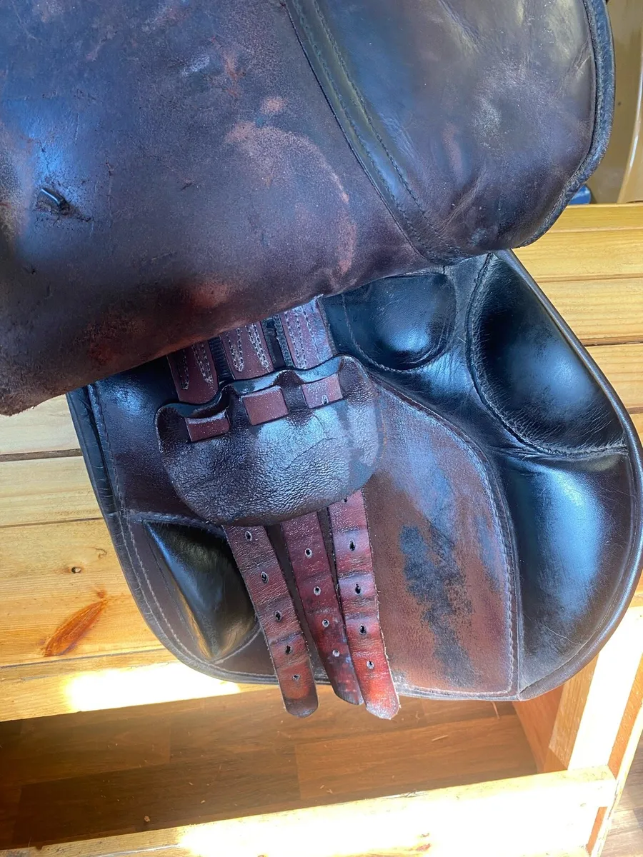 Berney brothers saddle jumping blocks - Image 3