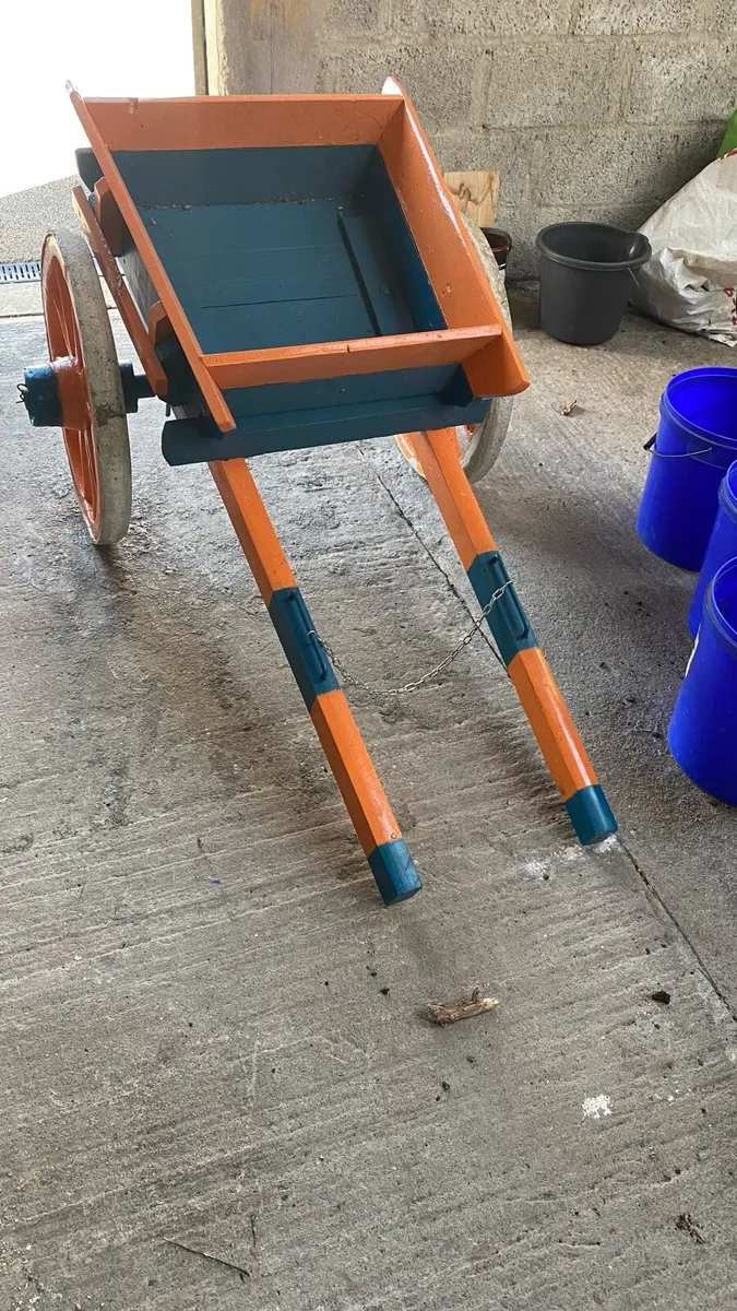 Donkey kart - Image 1