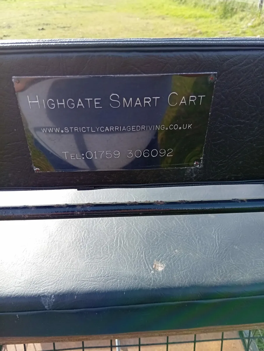 Miniature carriage - Image 2