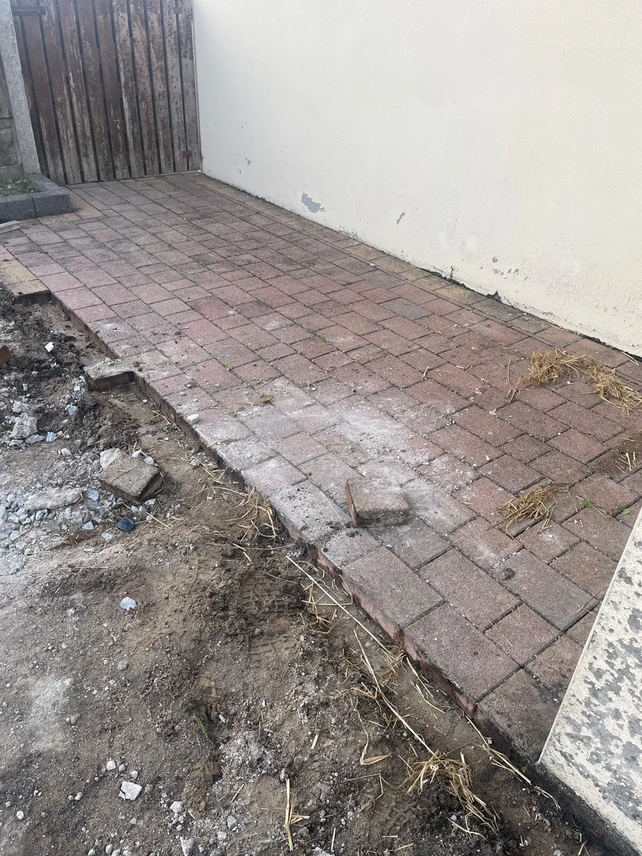 Paving bricks - Image 1
