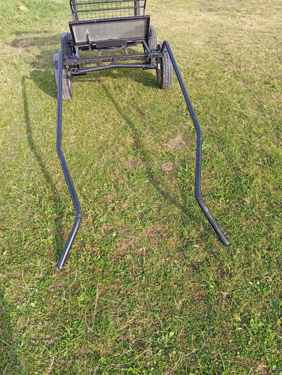 Miniature carriage - Image 3
