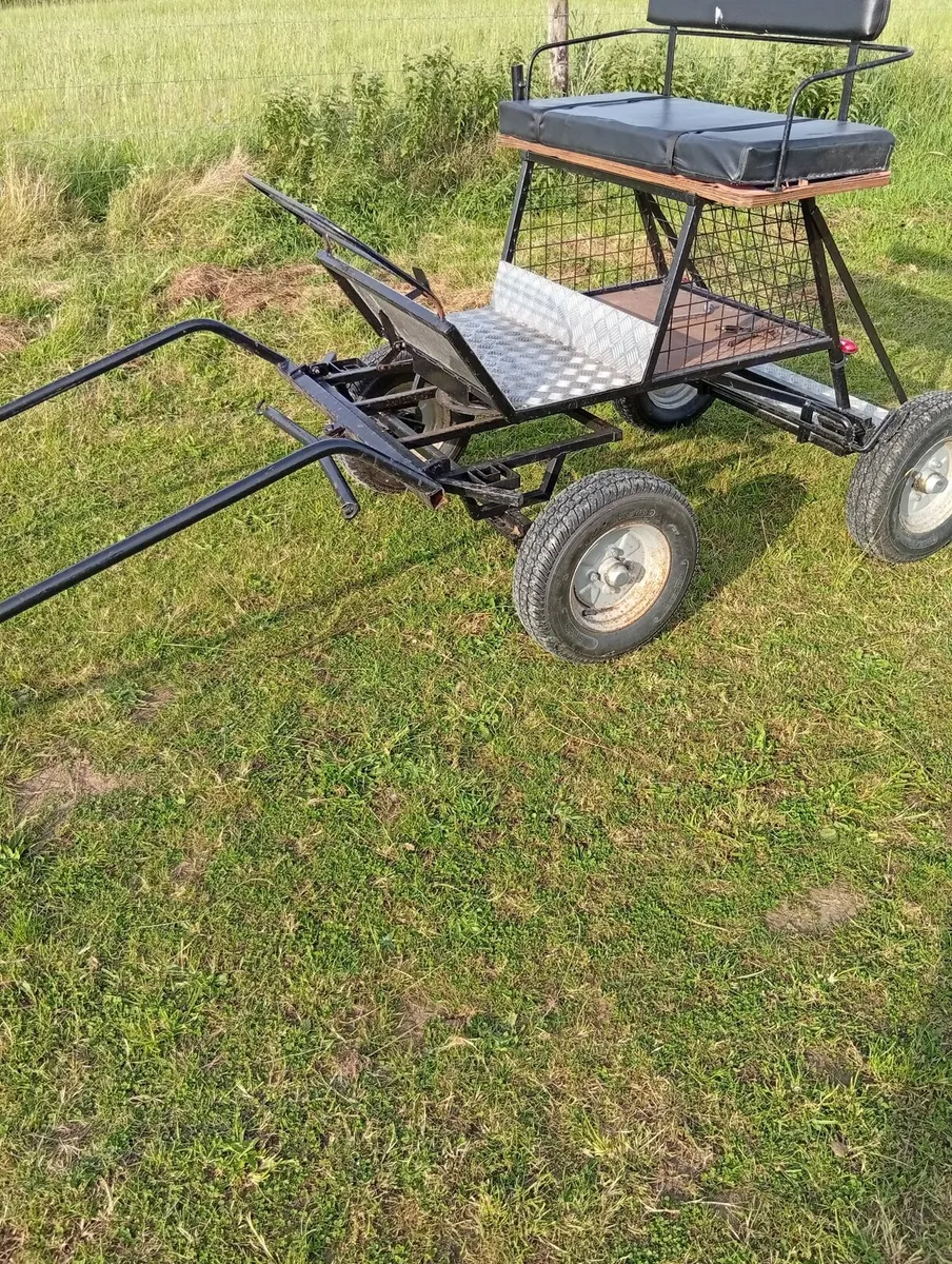 Miniature carriage - Image 4