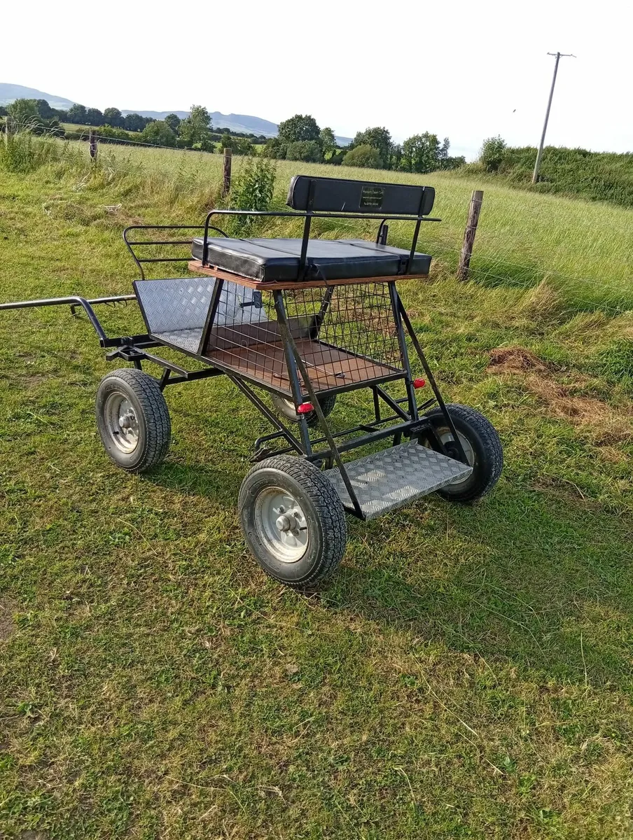 Miniature carriage - Image 1