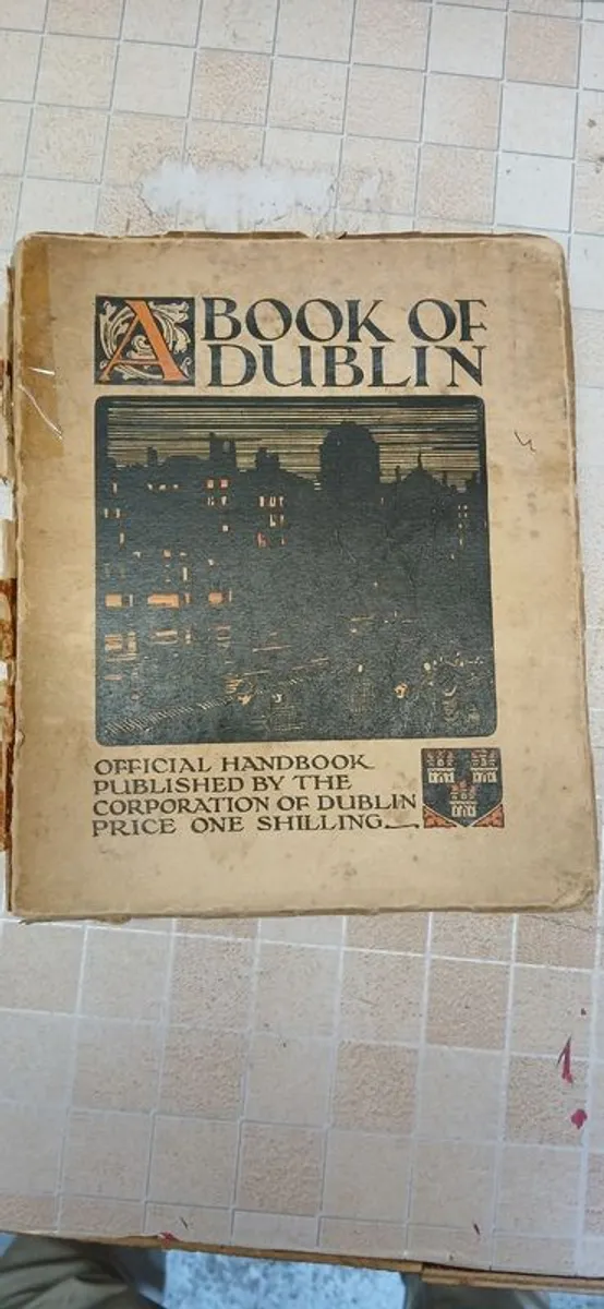Book of Dublin 1929 - Image 1