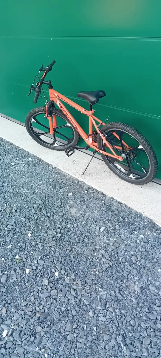 Bicycle - Image 4