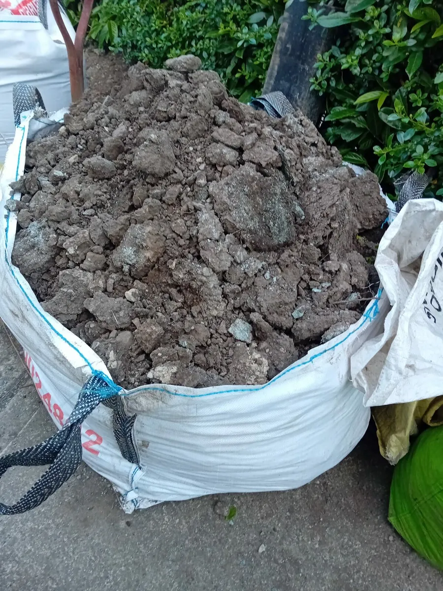 Free Soil