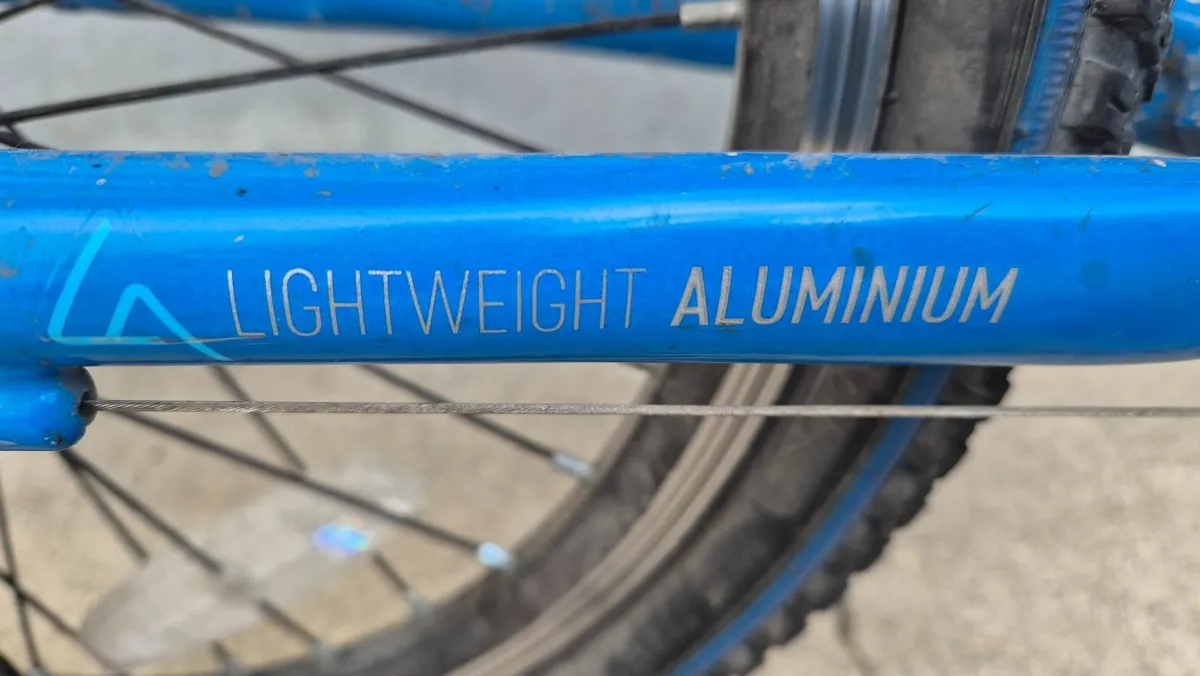20inch Dawes Lightning bike - Image 2