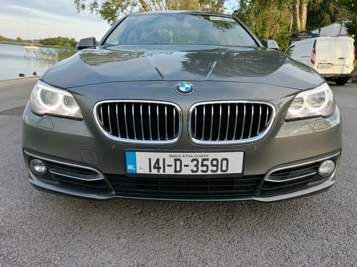 Bmw 520d SE Lux 1 Owner Low Miles - Image 4