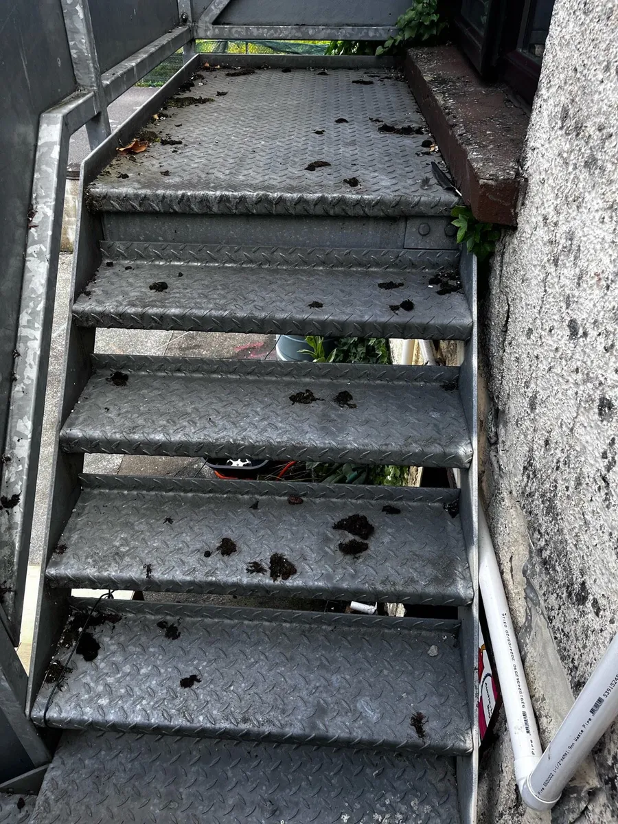 Emergency fire escape - Image 4