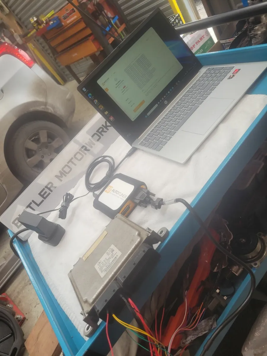 Ford wet belt replacement - Image 3
