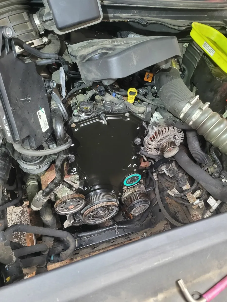 Ford wet belt replacement - Image 4