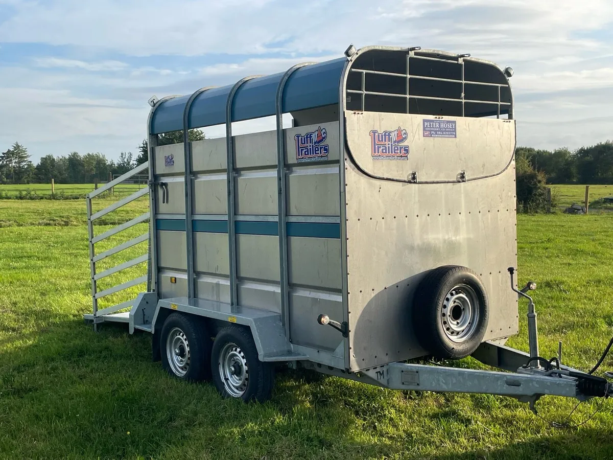 8 x 5 cattle trailer as new - Image 1