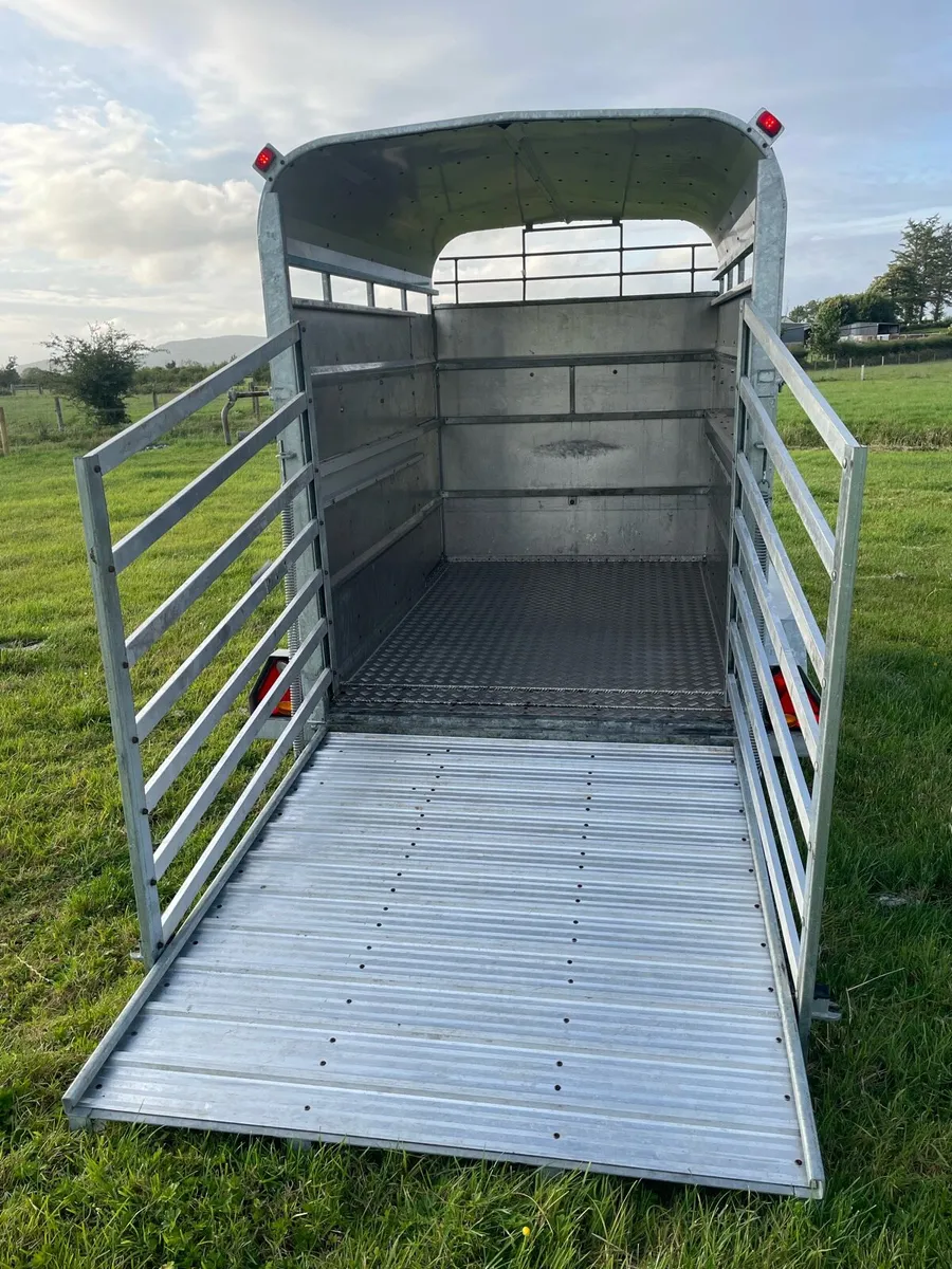 8 x 5 cattle trailer as new - Image 3
