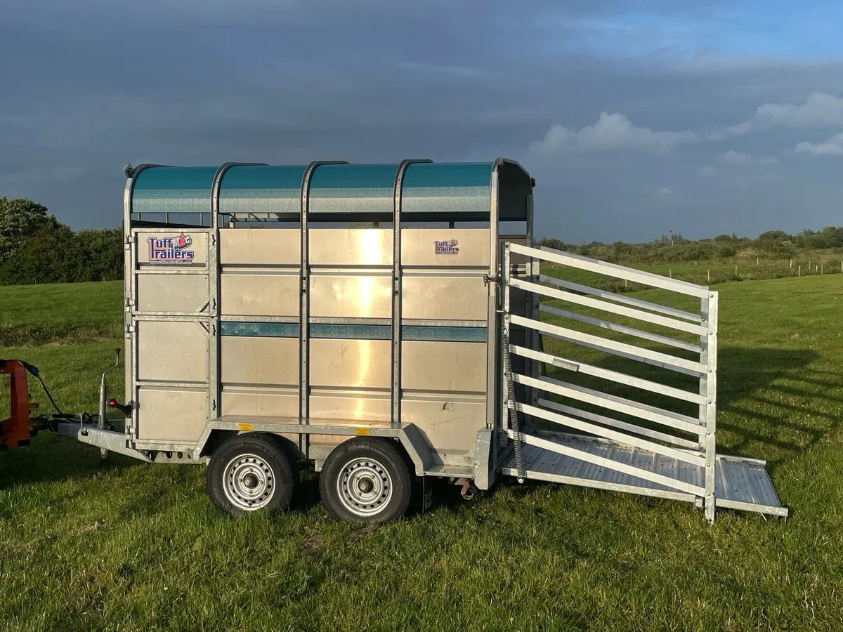 8 x 5 cattle trailer as new - Image 4