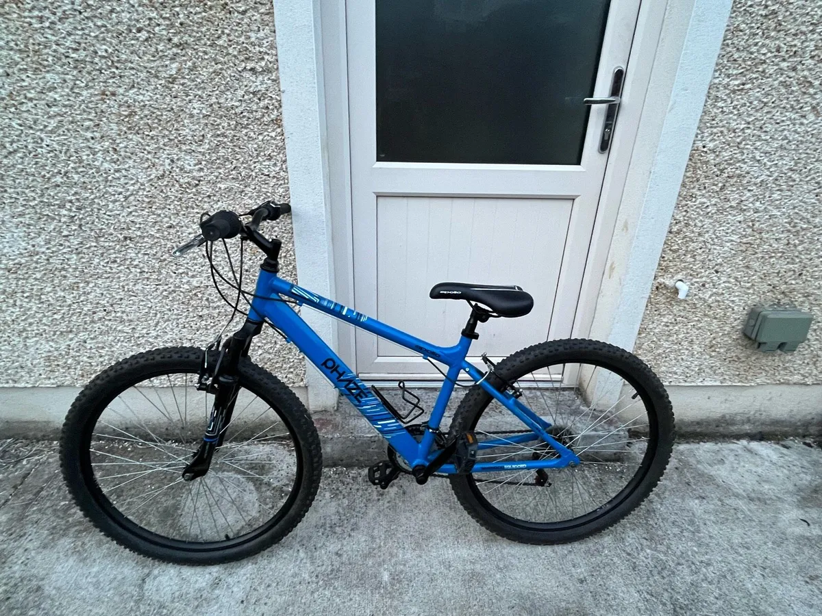 Mountain Bike - Image 1