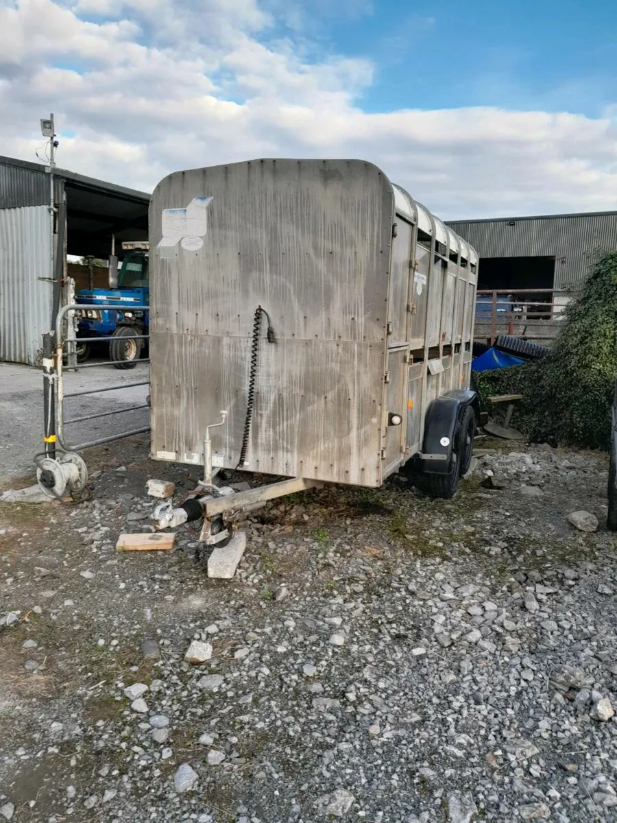 Ifor williams 12by5cattle  trailer with decks trad - Image 1