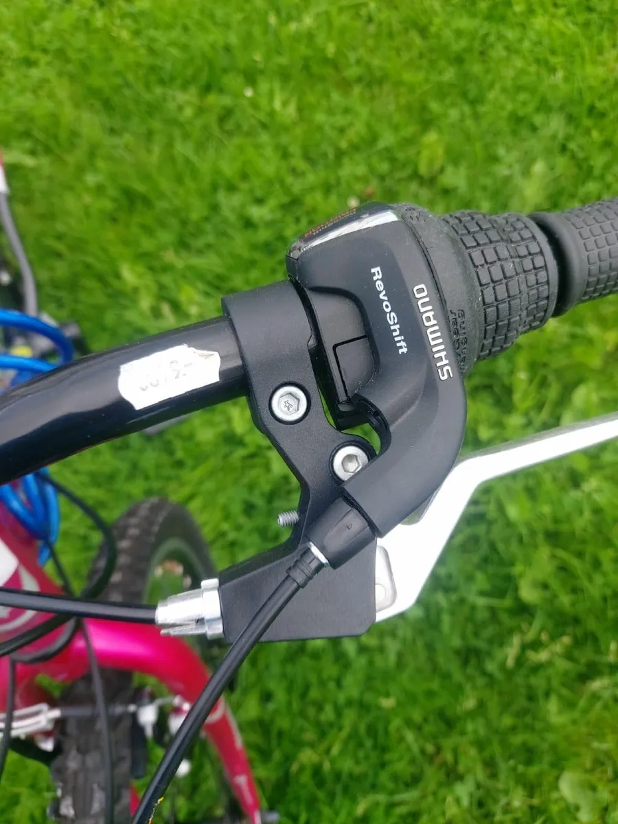 Bicycle - Image 2