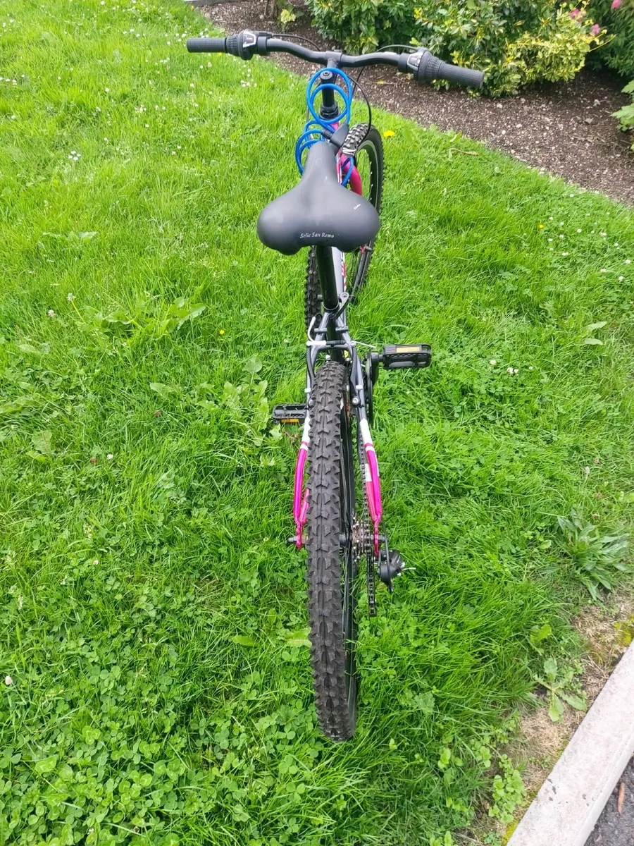 Bicycle - Image 4