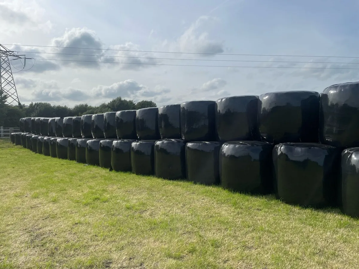 Silage Bales - Image 1