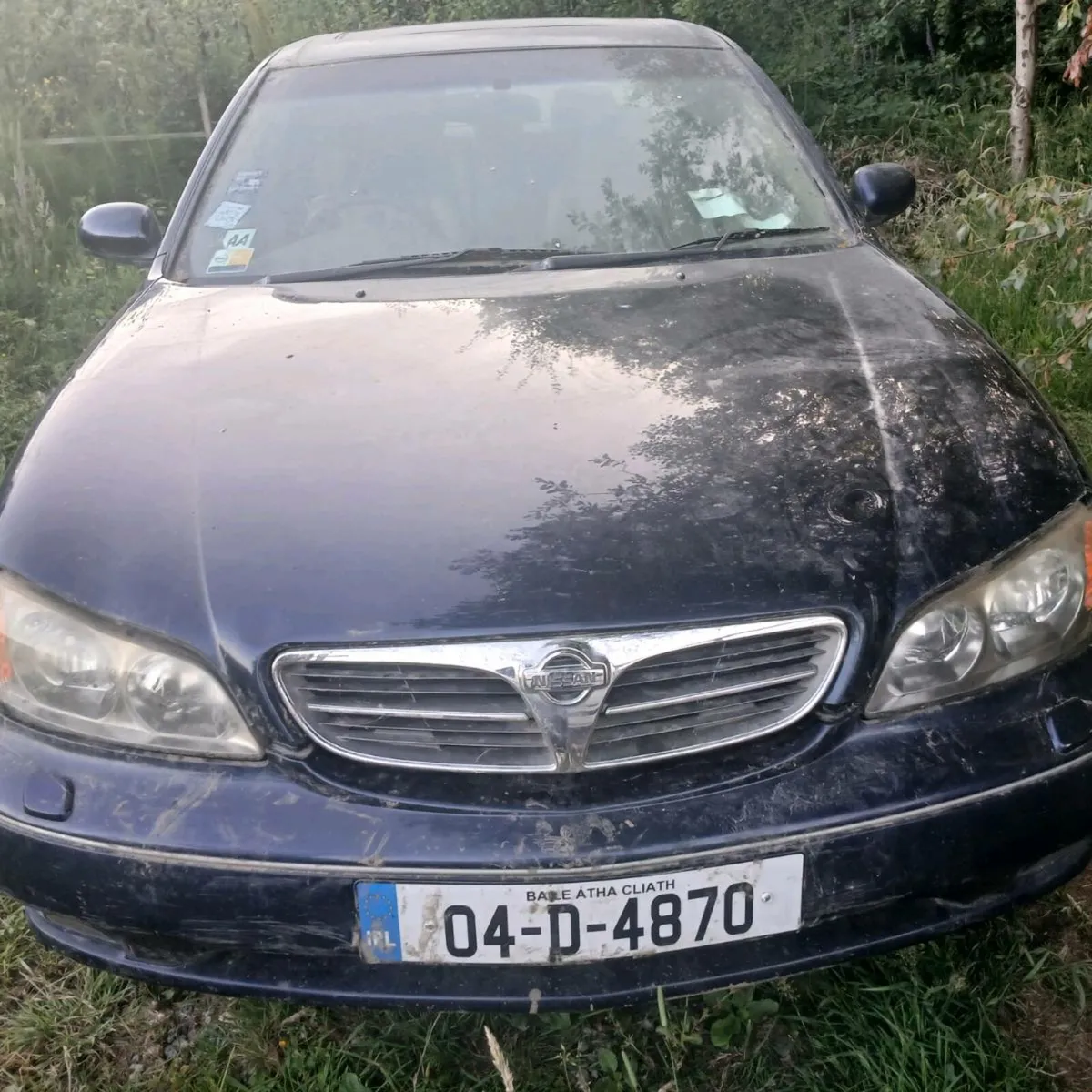 3 nissan maximias - Image 1