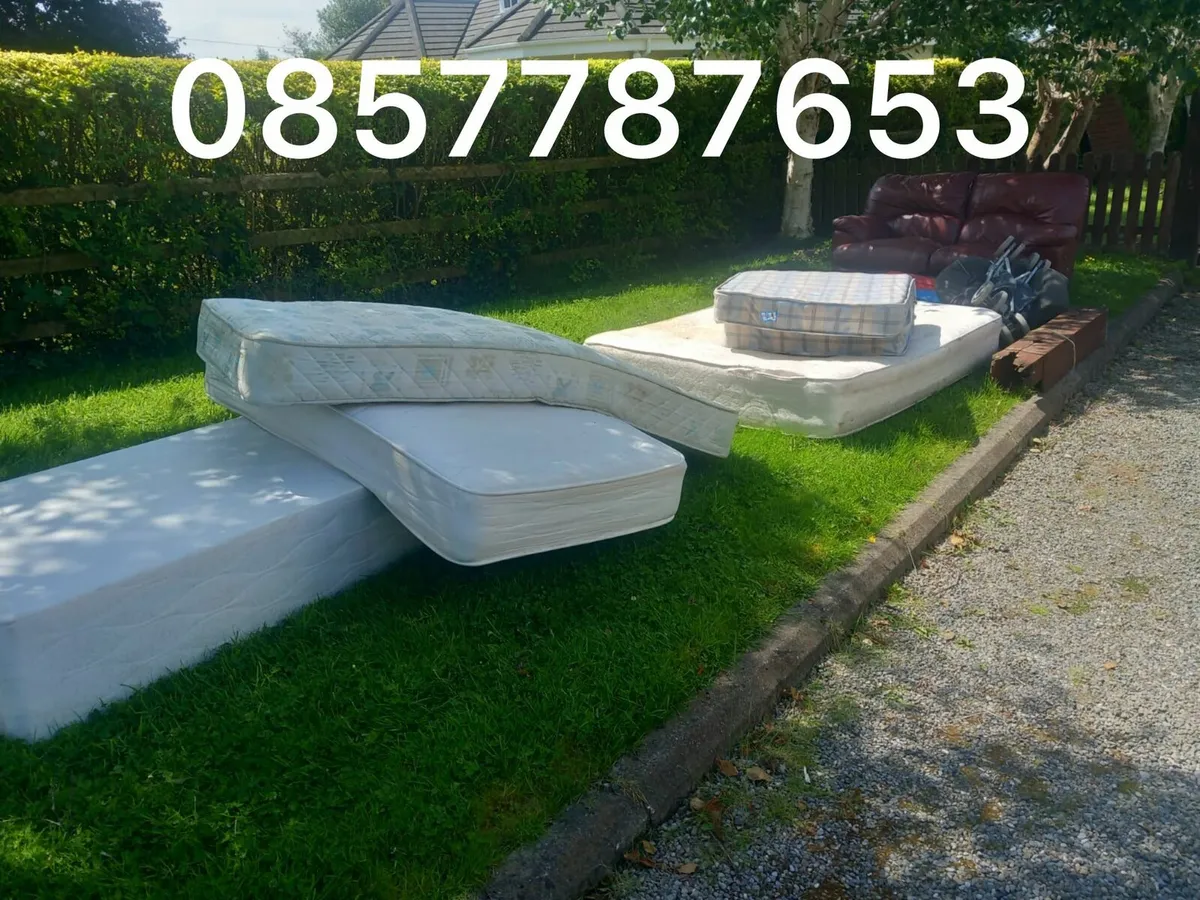 Rubbish clearance - Image 1