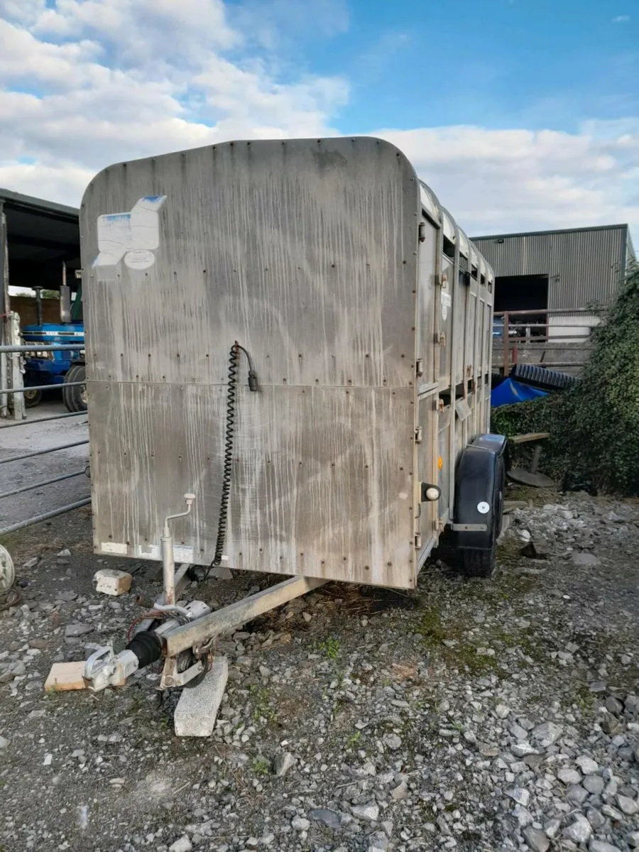 Ifor williams 12by5cattle  trailer with decks trad - Image 2