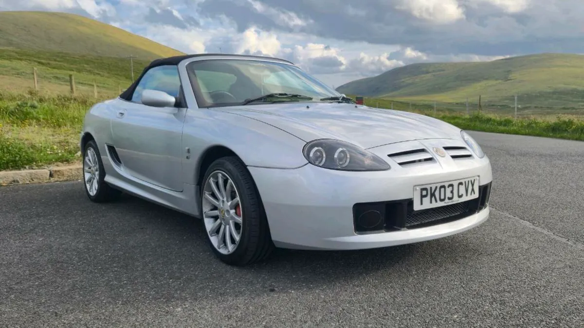 MG TF 135 - Image 1