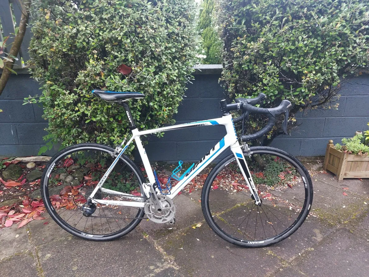 Giant Defy Alux SL - Image 4