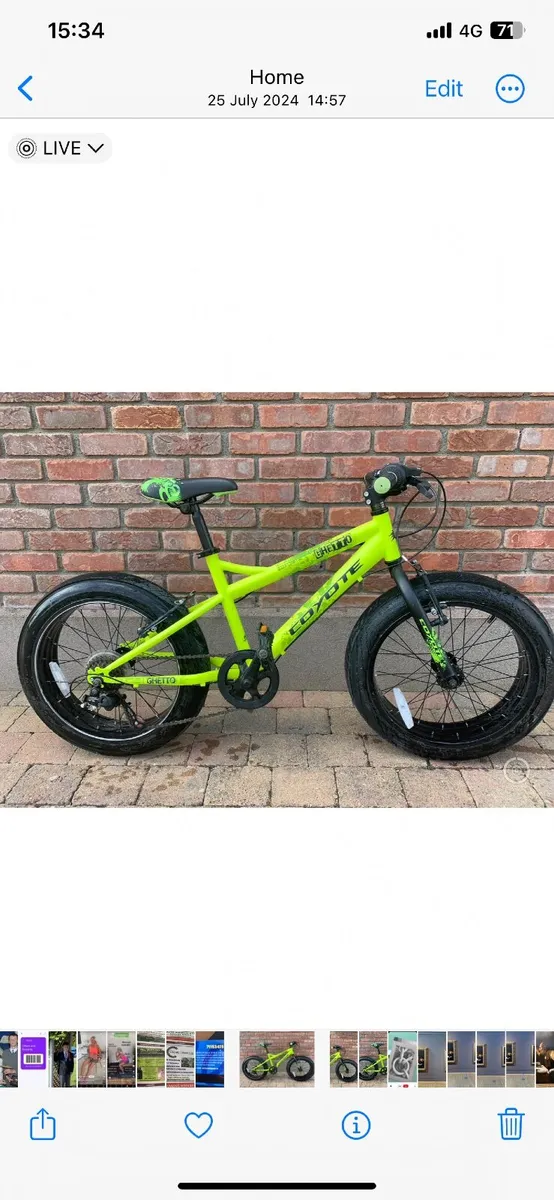 Coyote kids fat wheel bike