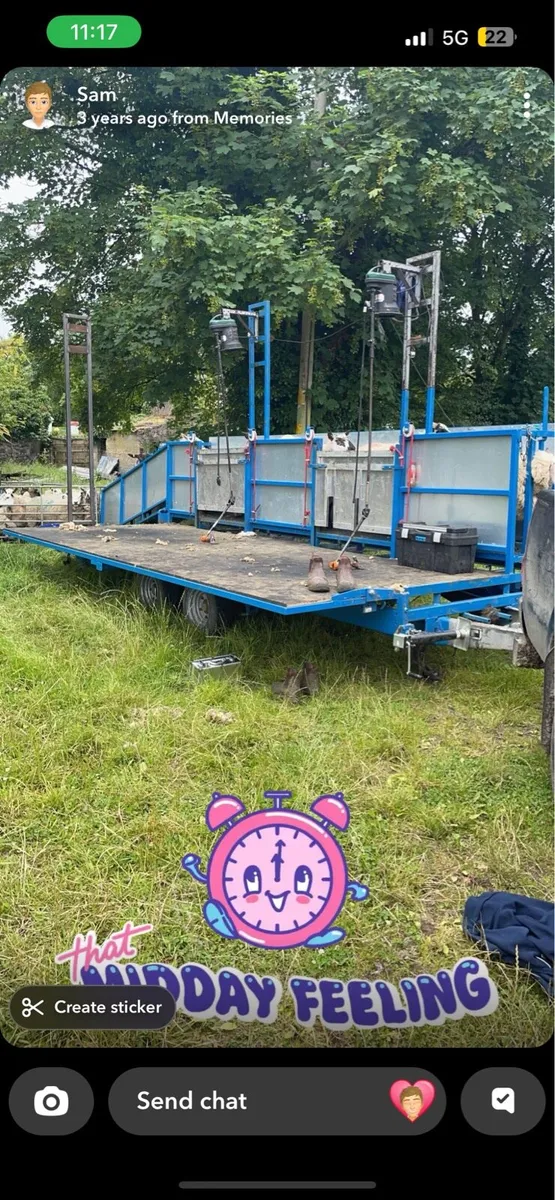 Sheep shearing - Image 3